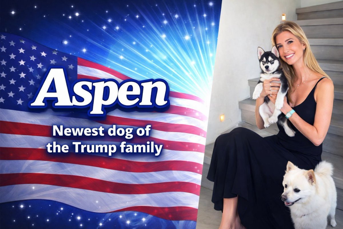aspentrump's tweet photo. Aspen is the adorable Siberian Husky puppy recently welcomed into the Trump family by Ivanka Trump is now live on the Ethereum network.

CA : 0x2Be278C1c9D43D8f75e3948A2ce364F815646724

Website : https://t.co/lGh1qrt3rH https://t.co/jbgV5Gg1Fv