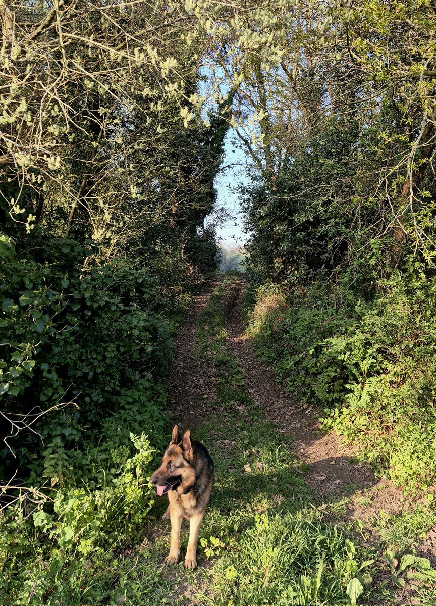 Marcos Gestal tweet media