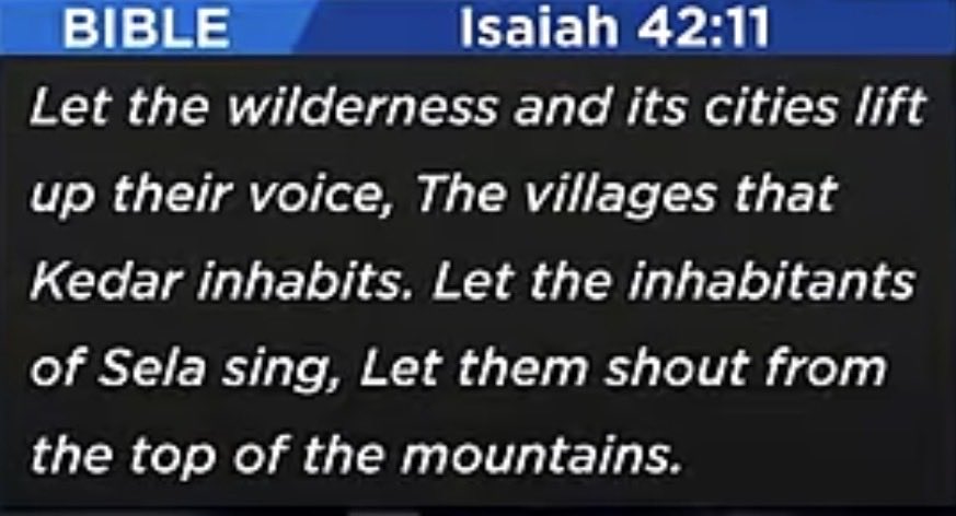 umairbtw23 tweet media