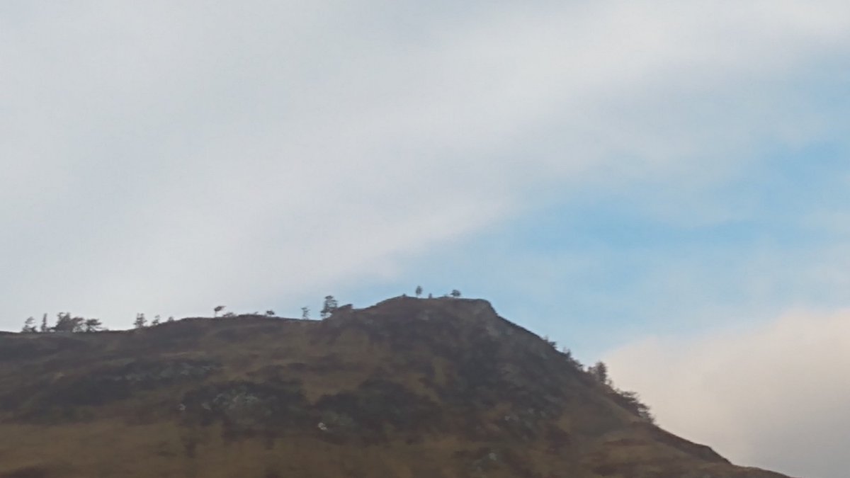 Joe Veragio tweet media