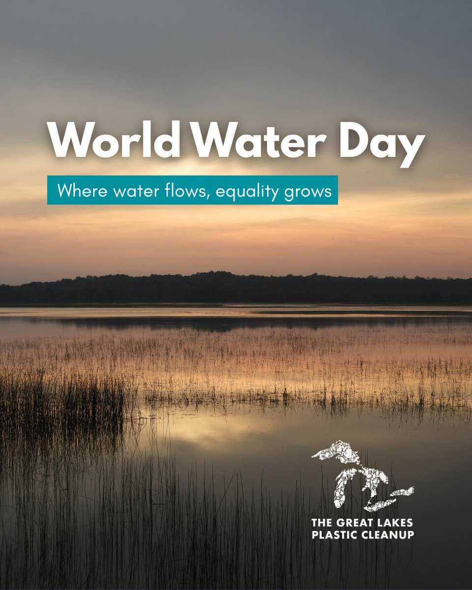 Great Lakes Plastic Cleanup tweet media