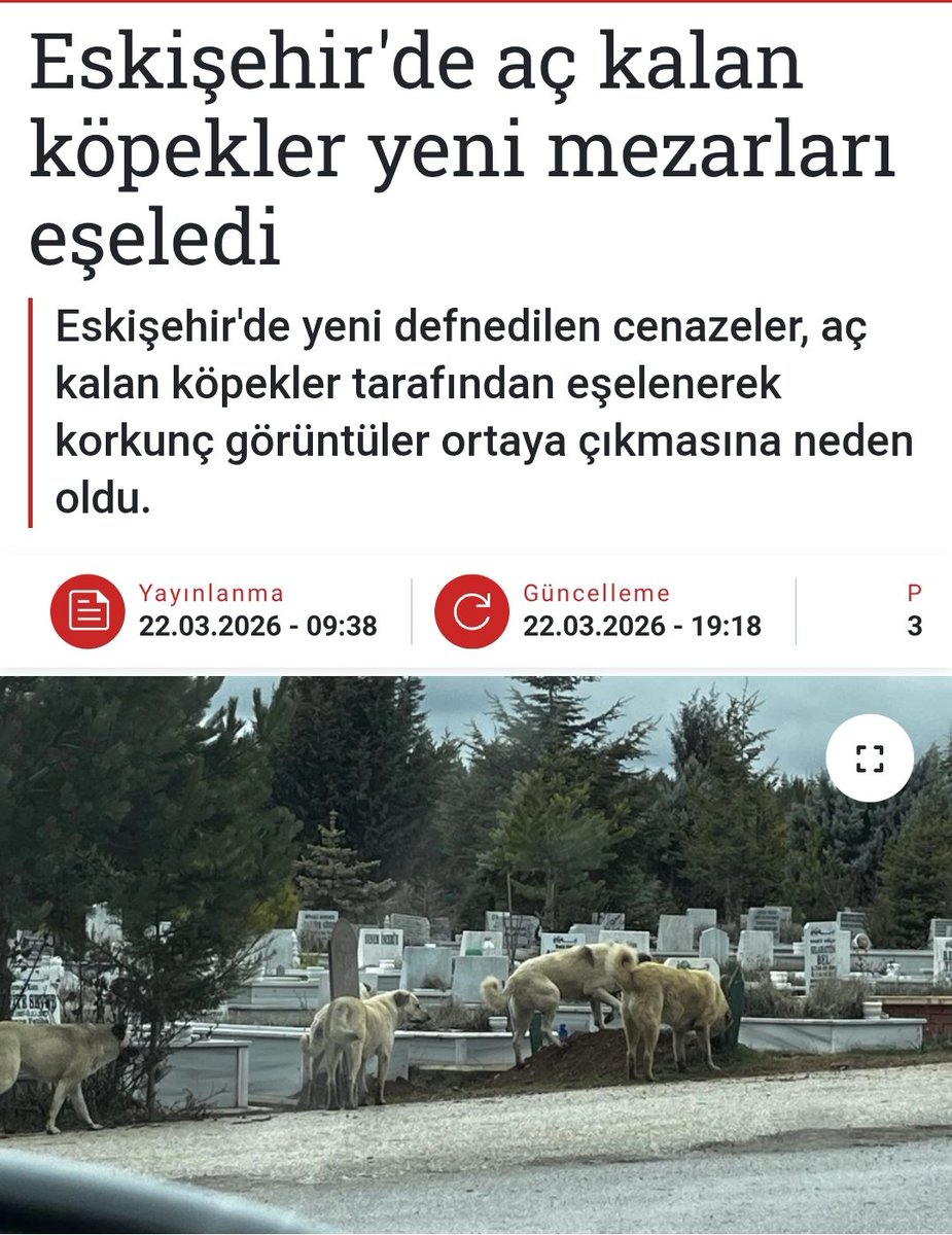 İTPEREST tweet media