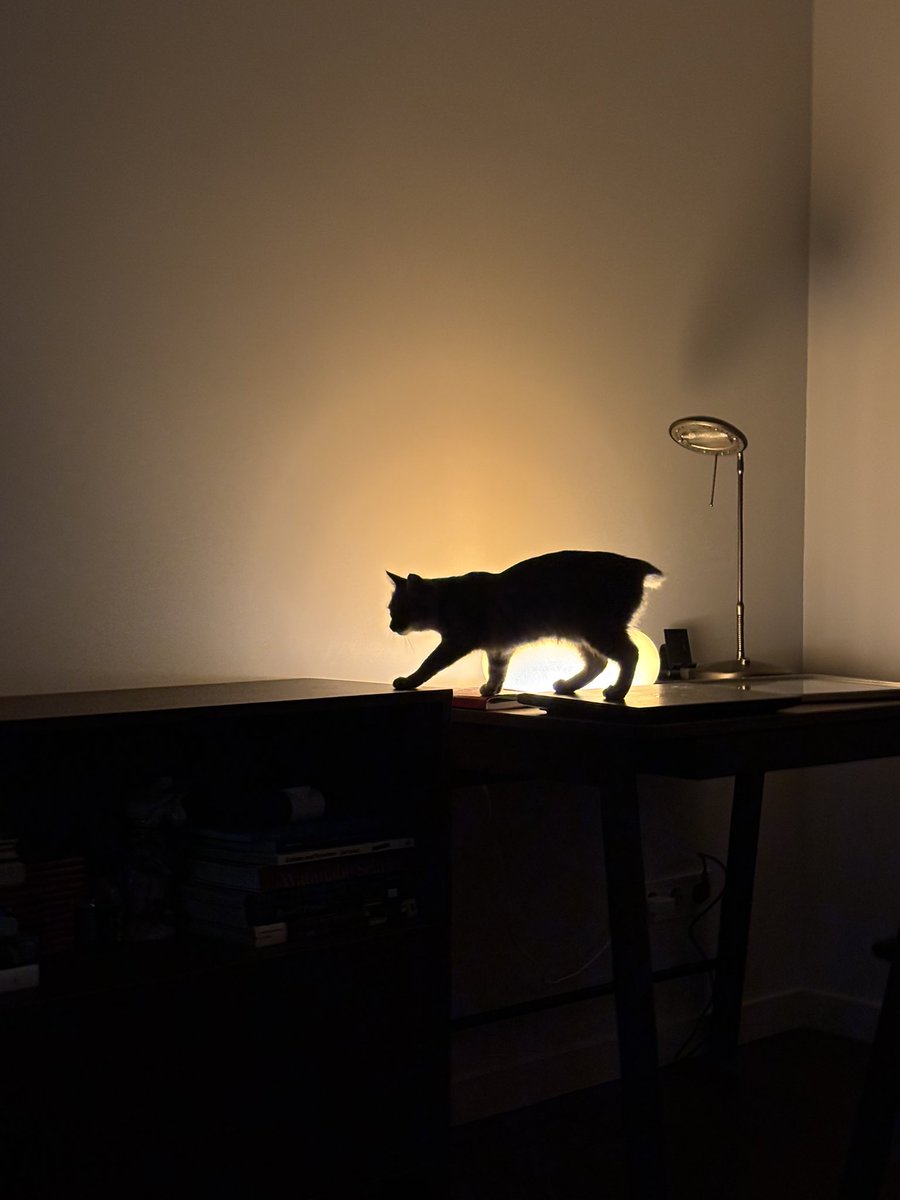 Ocheretniuk tweet media