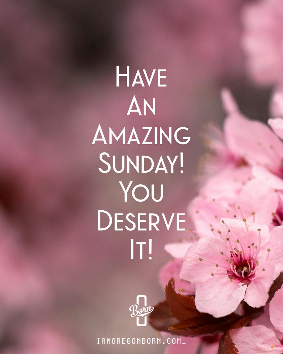 Oregon Born tweet media