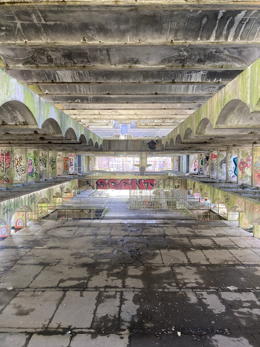 Stephen O'Neil tweet media