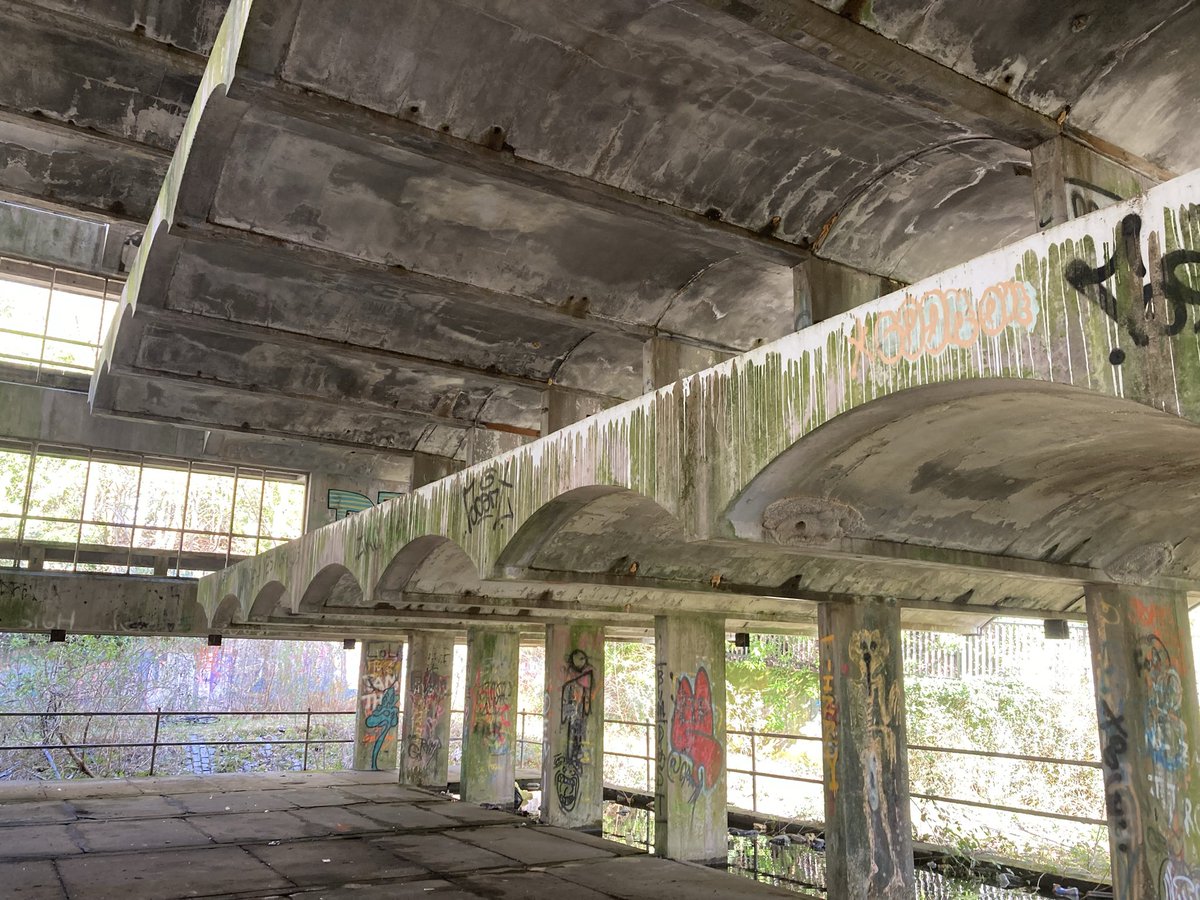 Stephen O'Neil tweet media