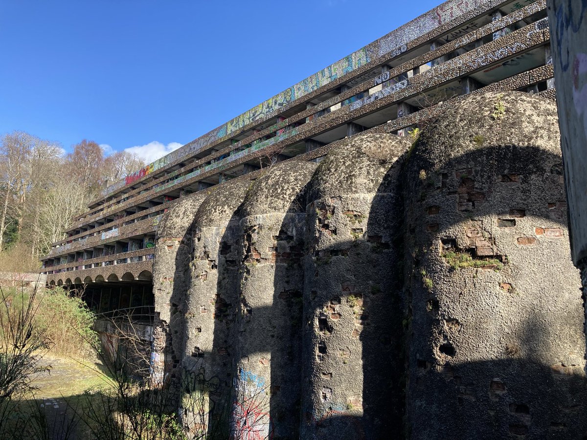 Stephen O'Neil tweet media