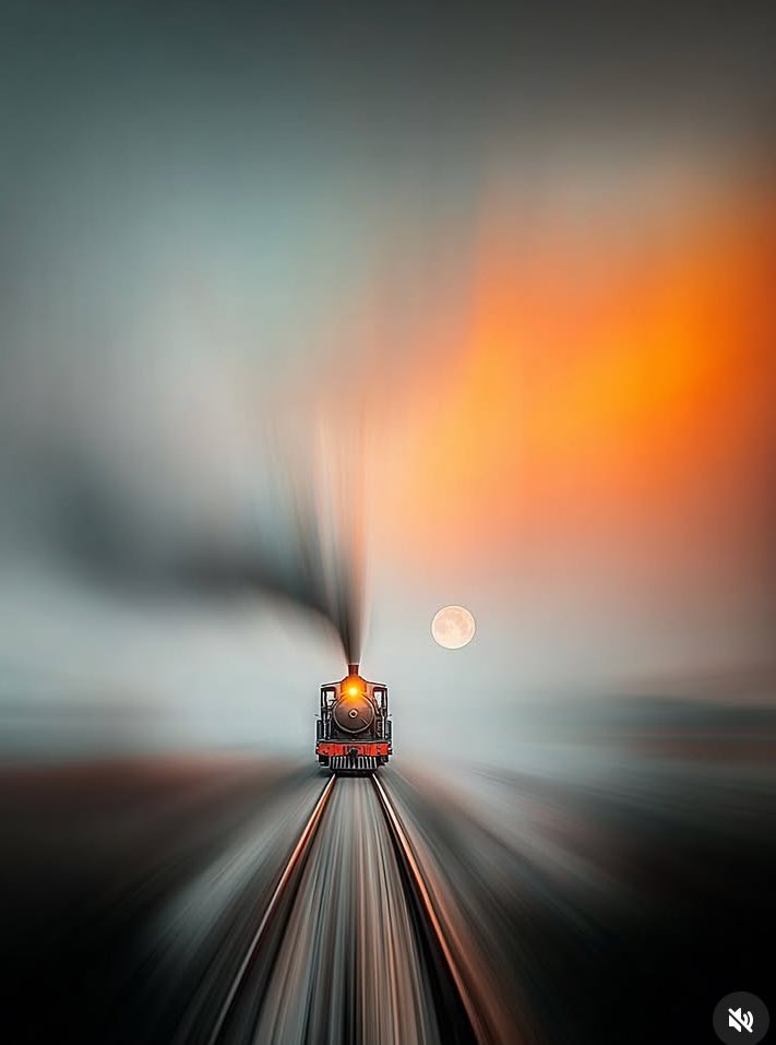 🦋 Nilgün 🦋 tweet media