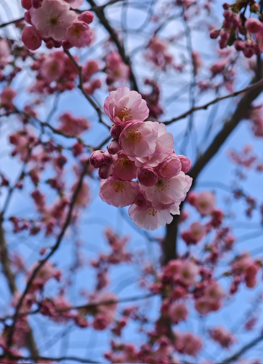 Ёмкость для вина tweet media