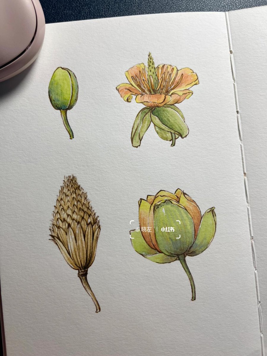 Meghna Parekh tweet media