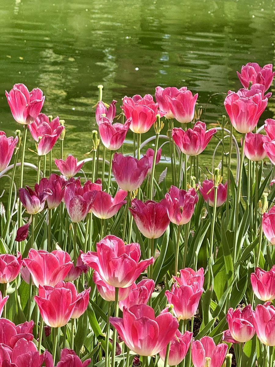 嘉尔Gale·一只豹💫 tweet media