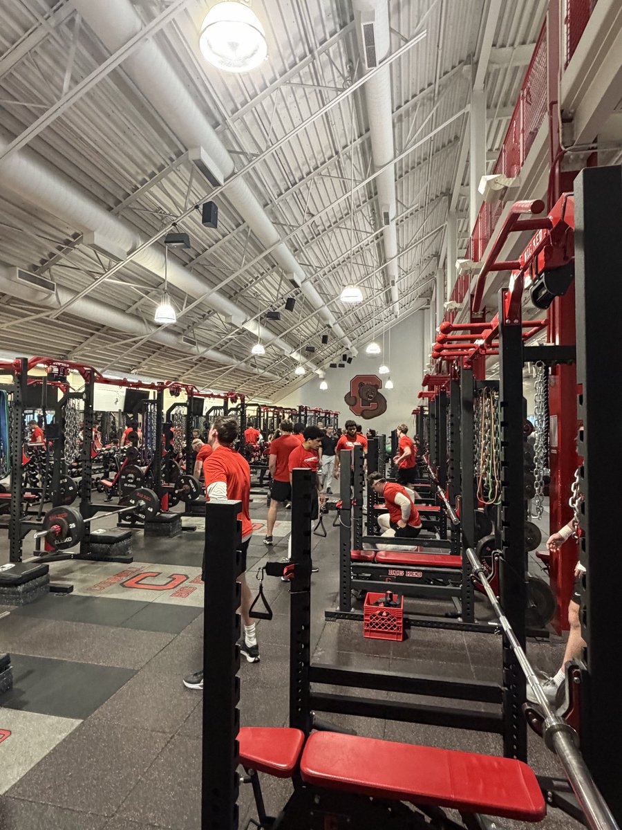 Cole Scott tweet media