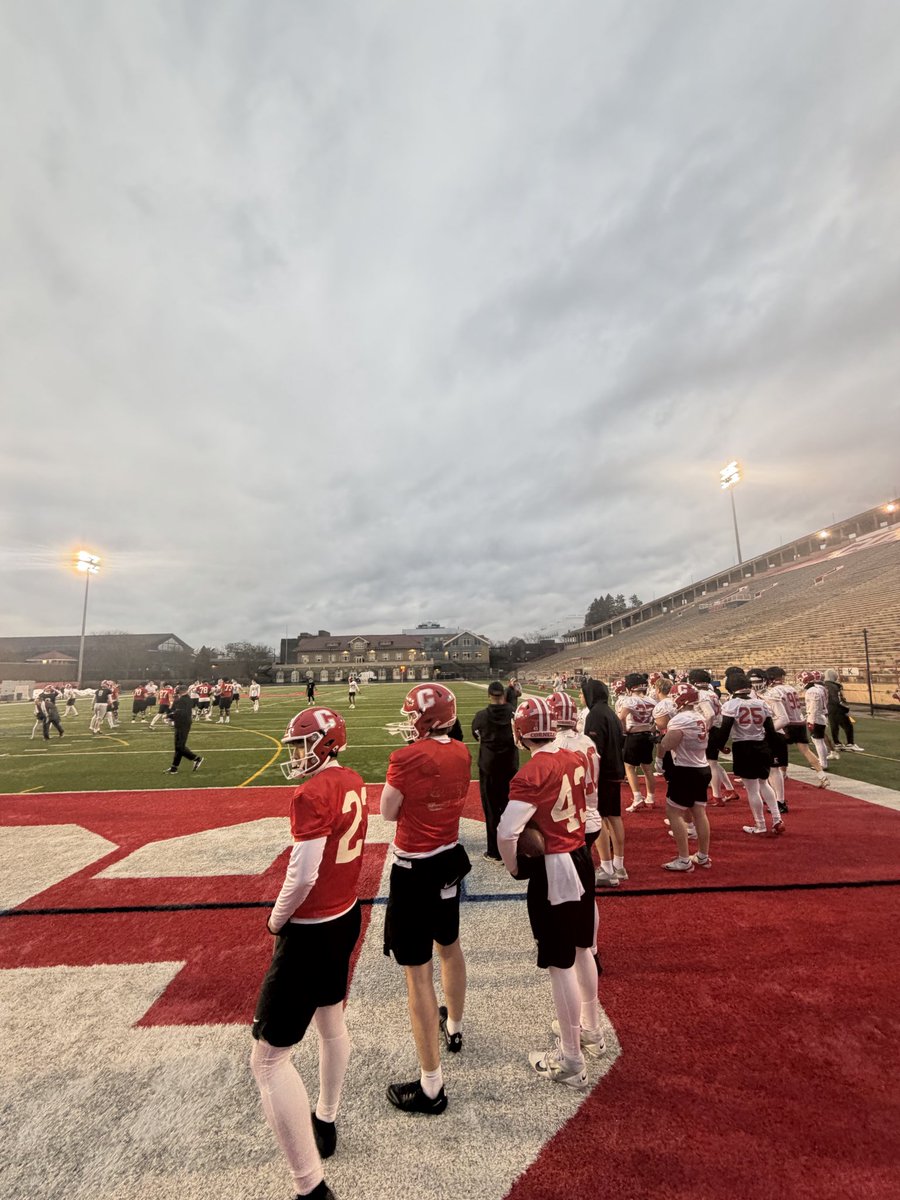 Cole Scott tweet media