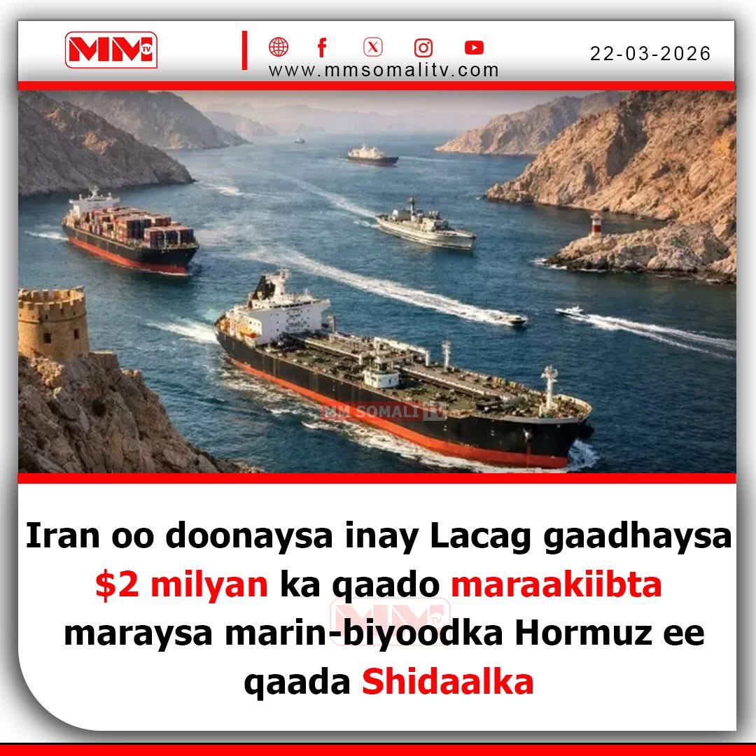 MM Somali TV tweet media