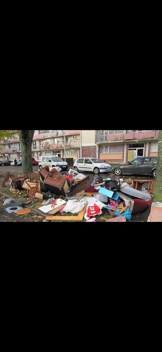 French Contrarian🇫🇷🐍 tweet media