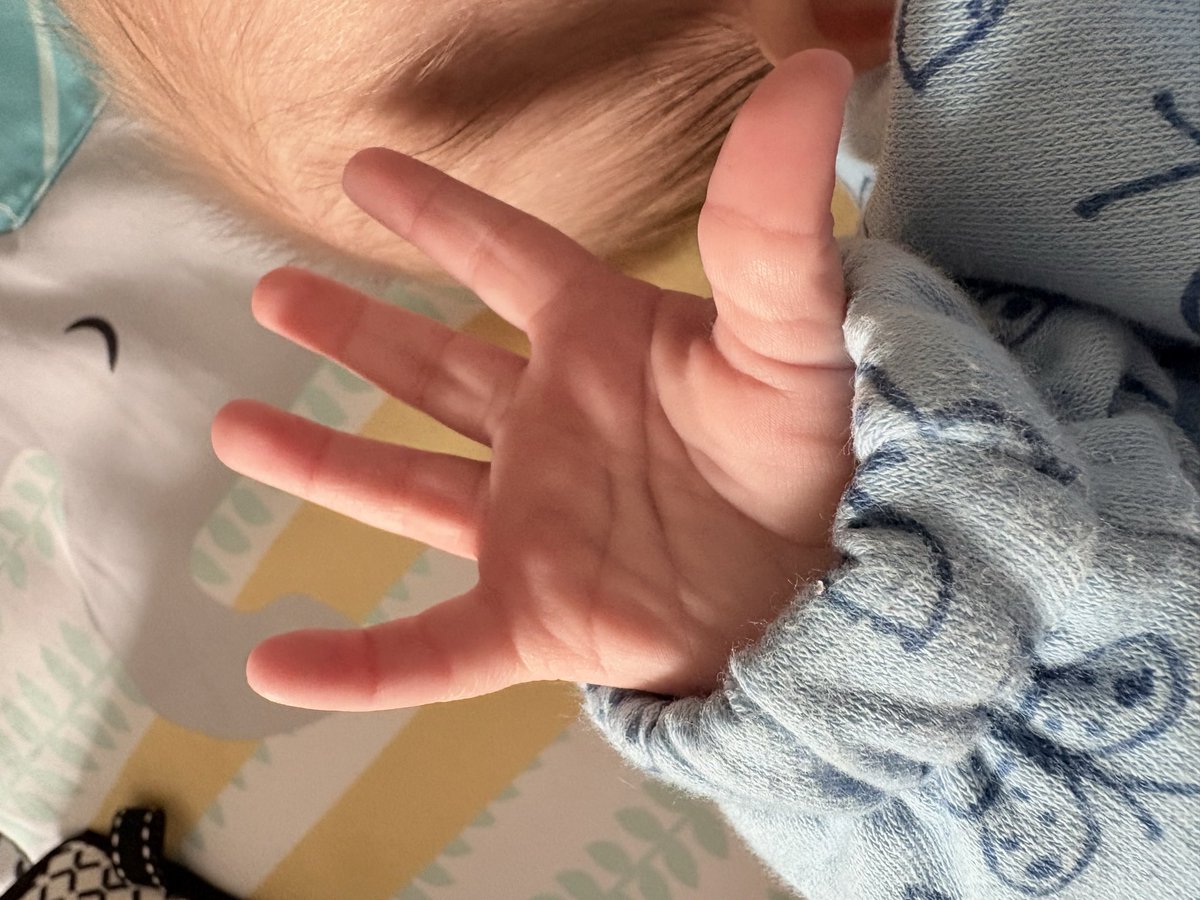 high stride society tweet media