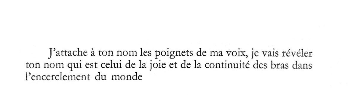 dies iræ tweet media