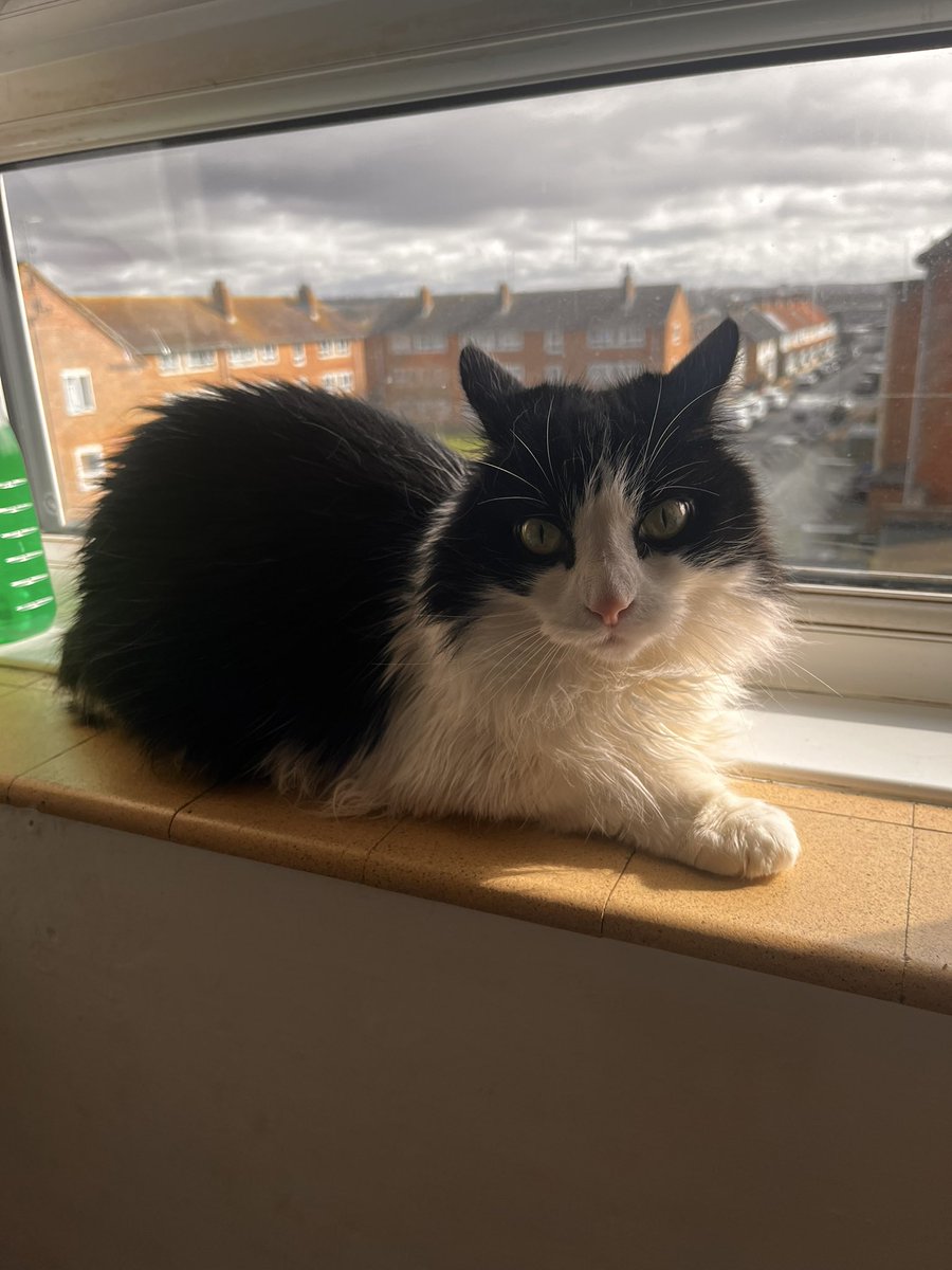 Debbie Enticknapp tweet media