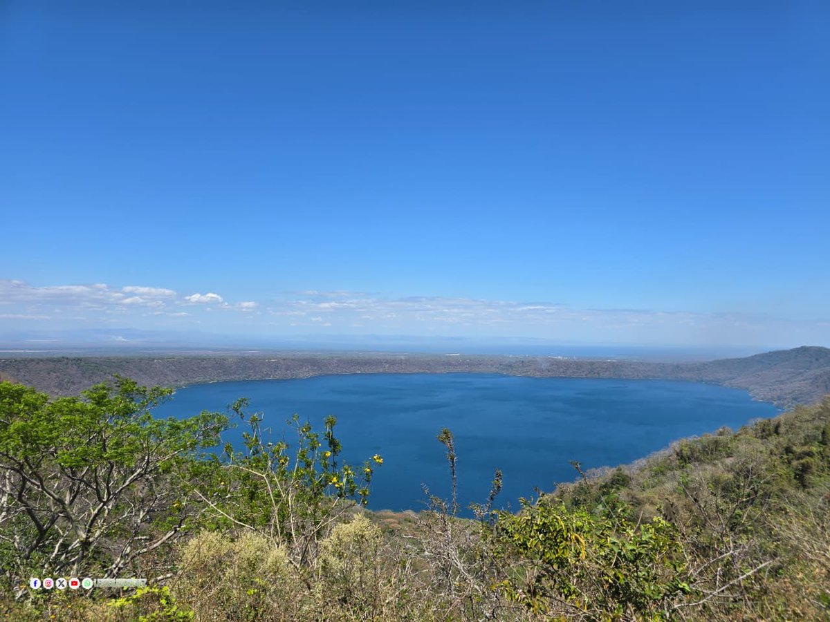Flor y Canto 🇳🇮 tweet media