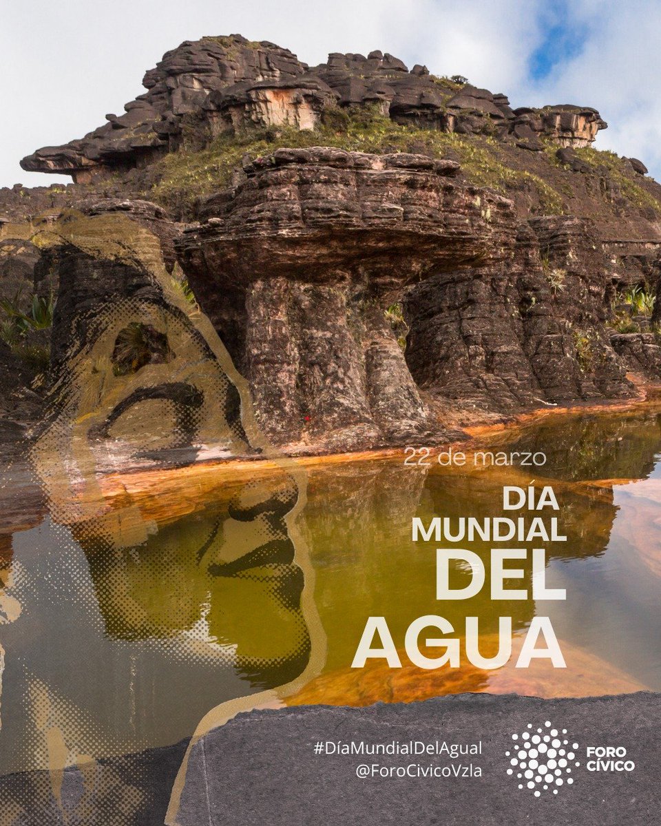 Foro Cívico tweet media