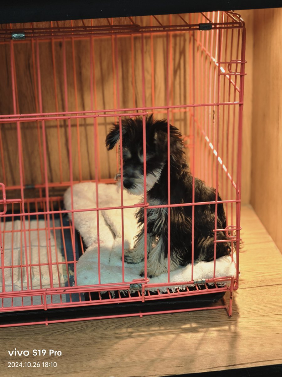 Audrey Nicolet tweet media