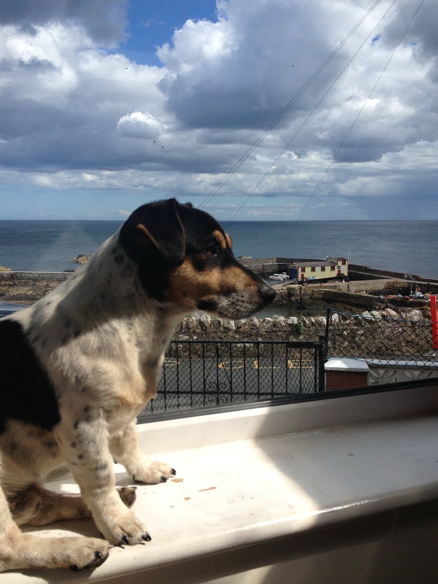 Maggie Jones ⚡️ tweet media