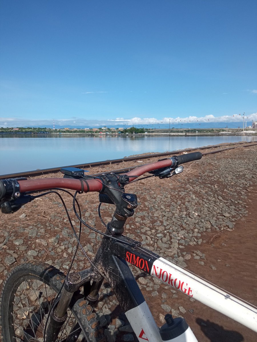 The Mantis. tweet media