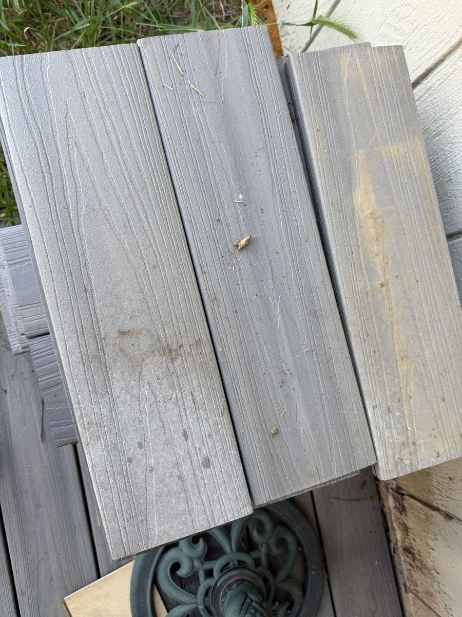 seedsoilsun tweet media