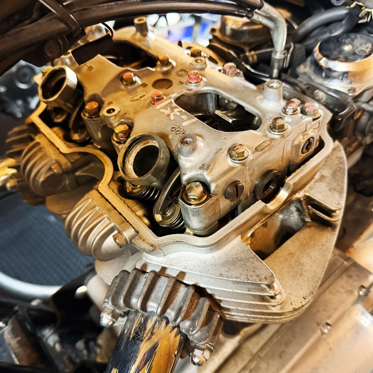 ハギハラ シンイチ tweet media