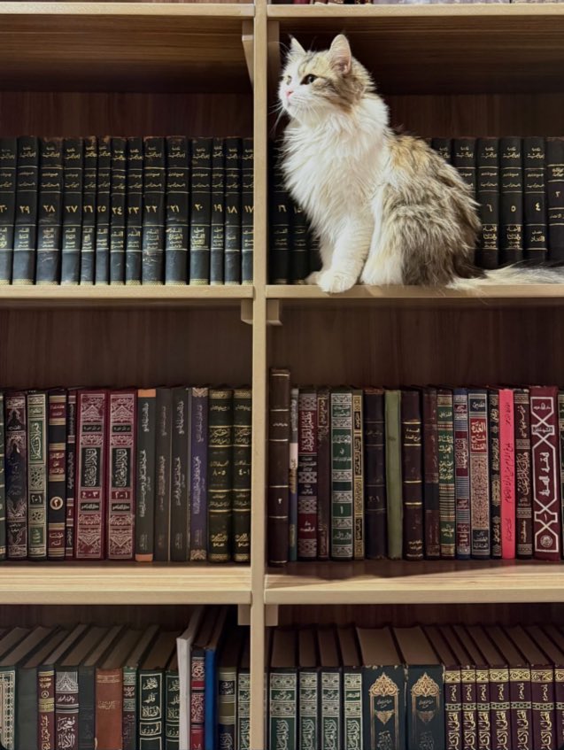 الحــنيـن .. tweet media