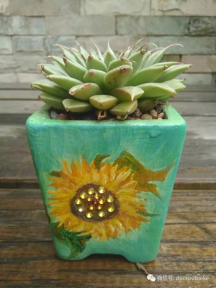 Kaleb Lowery tweet media