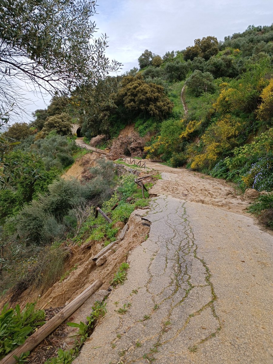 📈J.J. Gonzalez💻 tweet media