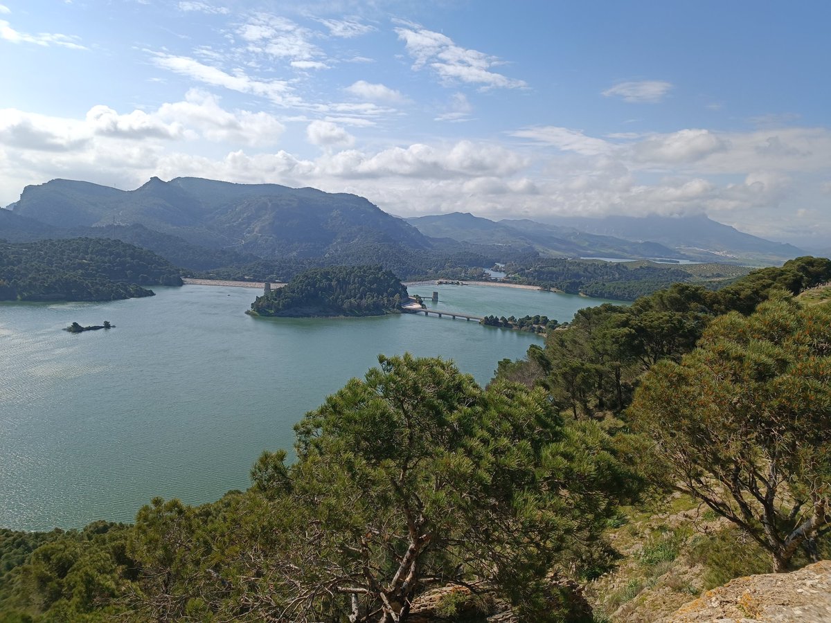 📈J.J. Gonzalez💻 tweet media