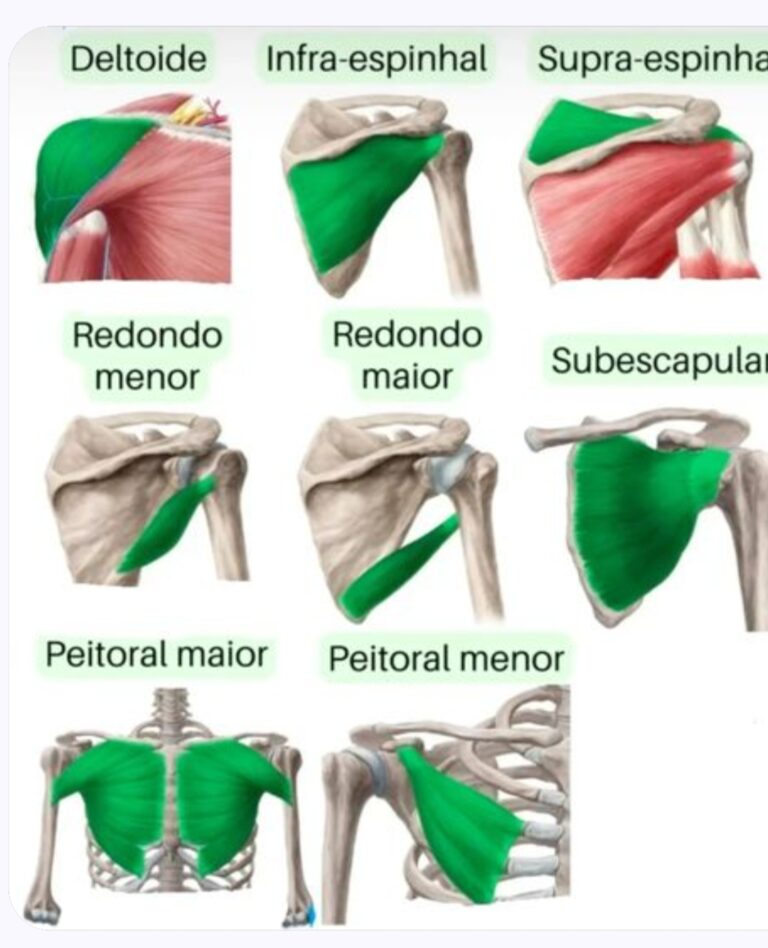 Aritz Monasterio A. tweet media