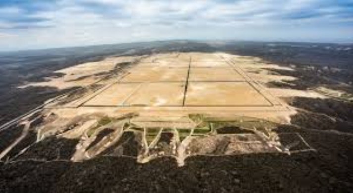 Elmo Ordaz anti zurdos✴ tweet media