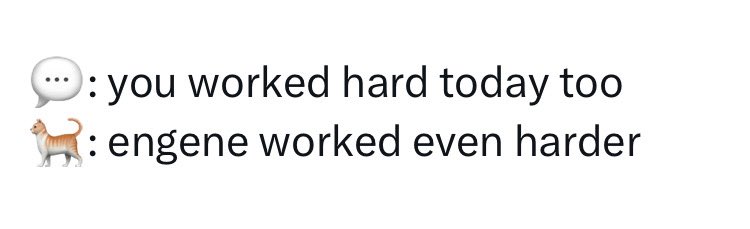 moo ENHYPEN IS 7 tweet media