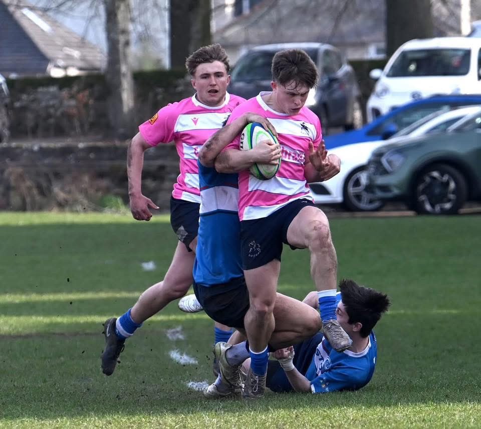 Howe of Fife RFC tweet media