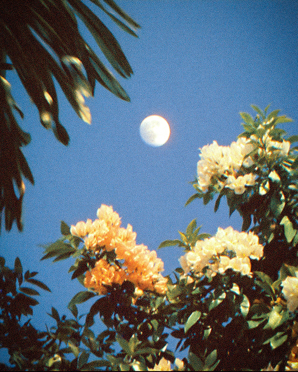 Heavy Pulp (@theheavypulp) on Twitter photo 