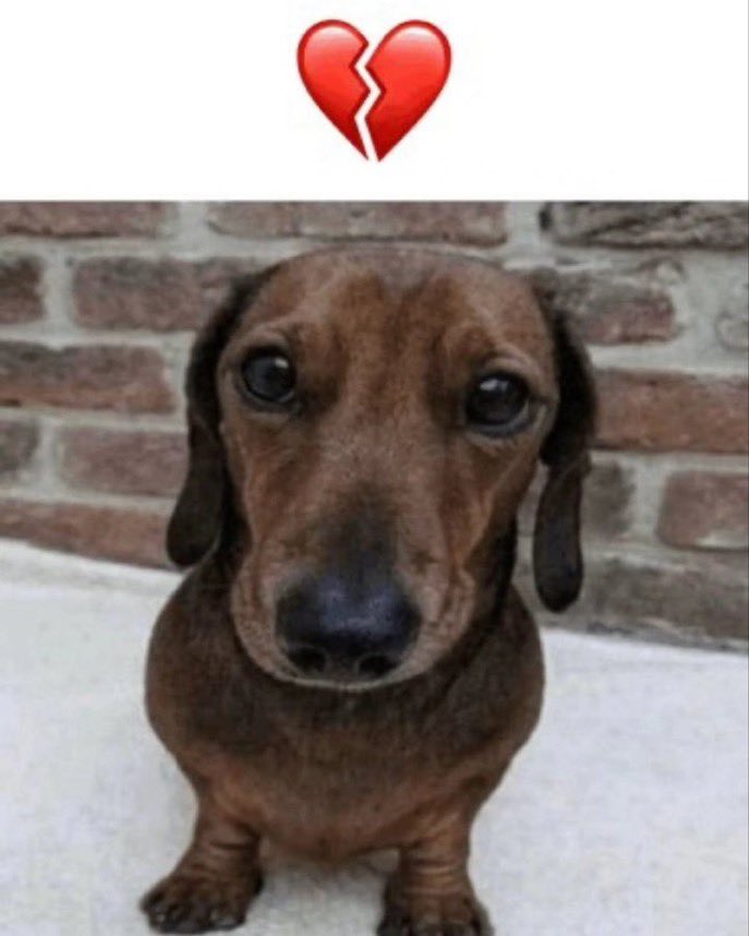 ⚜️ cora tweet media