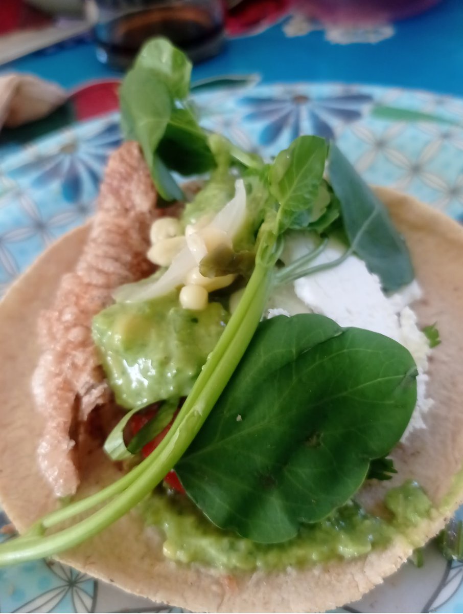 Fabiola Ugalde tweet media