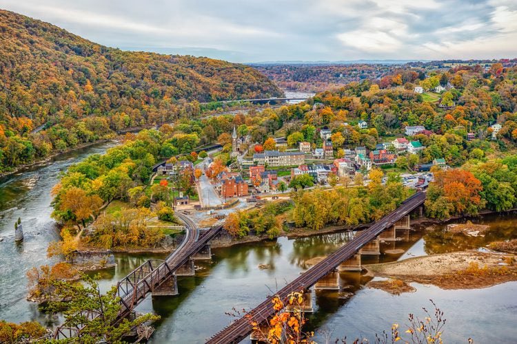 Joe McCarthy is my spirit animal🦃 tweet media