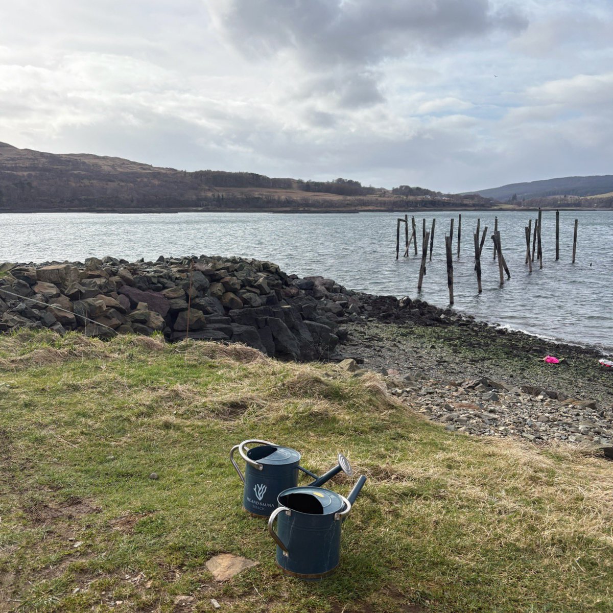 минький tweet media