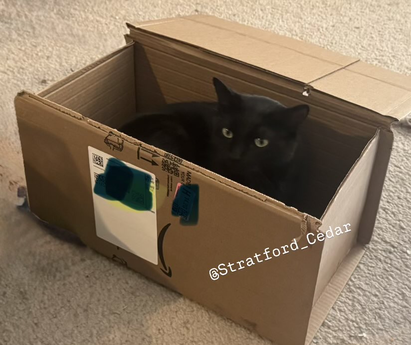 Stratford & Cedar tweet media