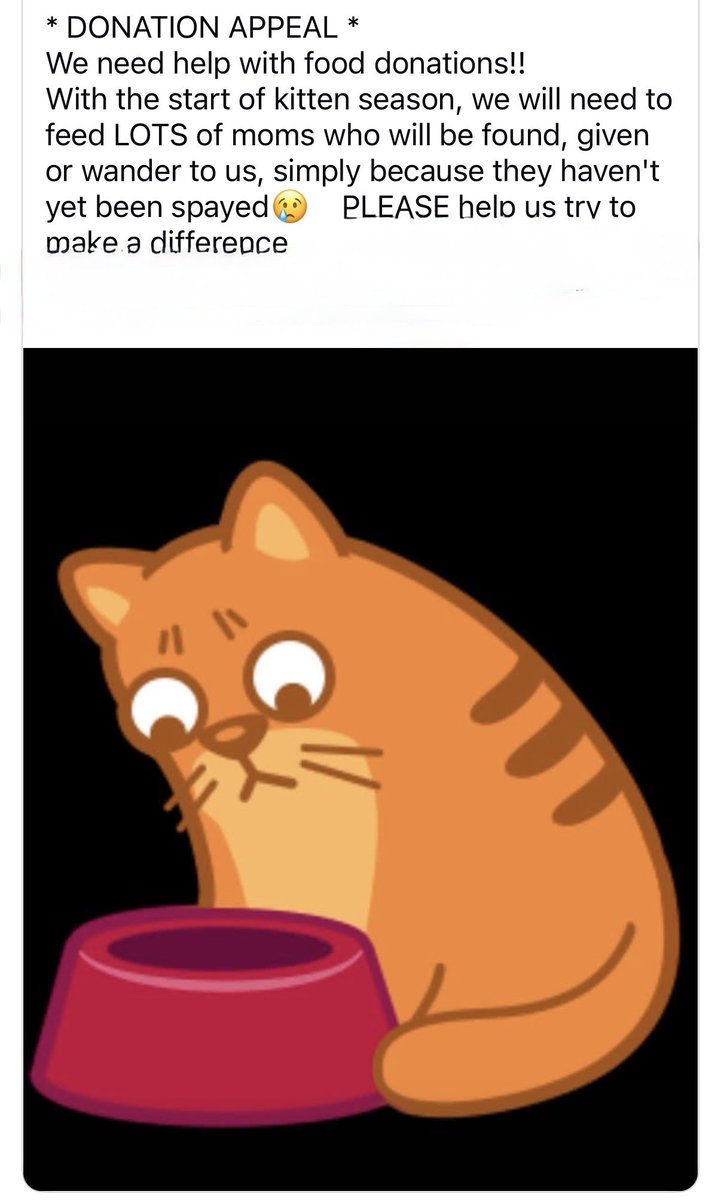 Julie Threlfall tweet media