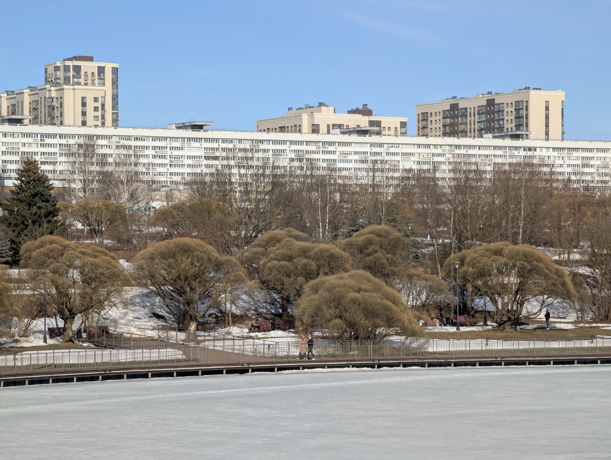 Саша Дериванов tweet media