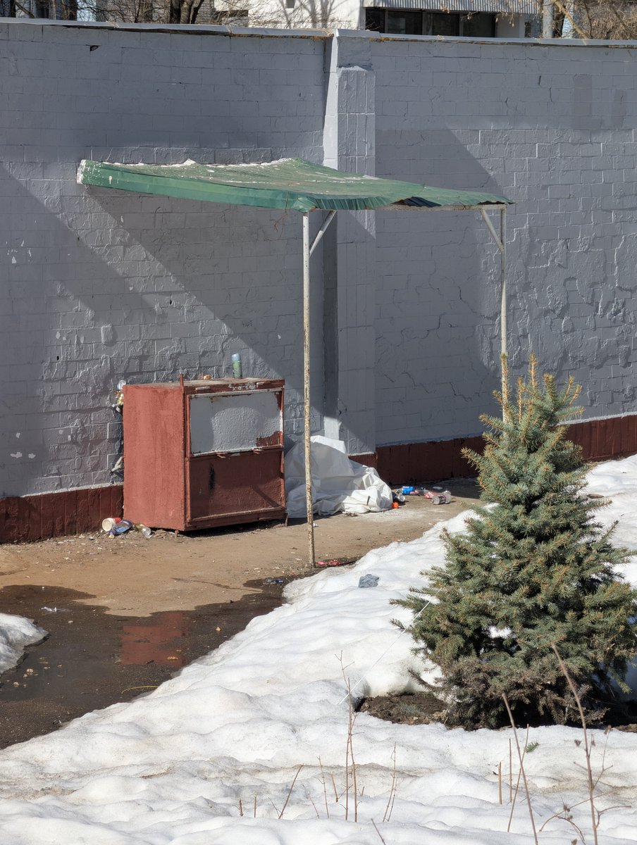 Саша Дериванов tweet media