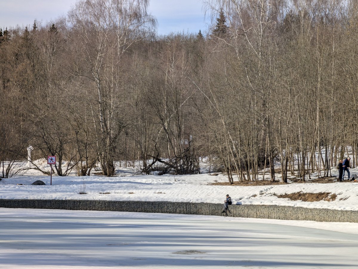 Саша Дериванов tweet media