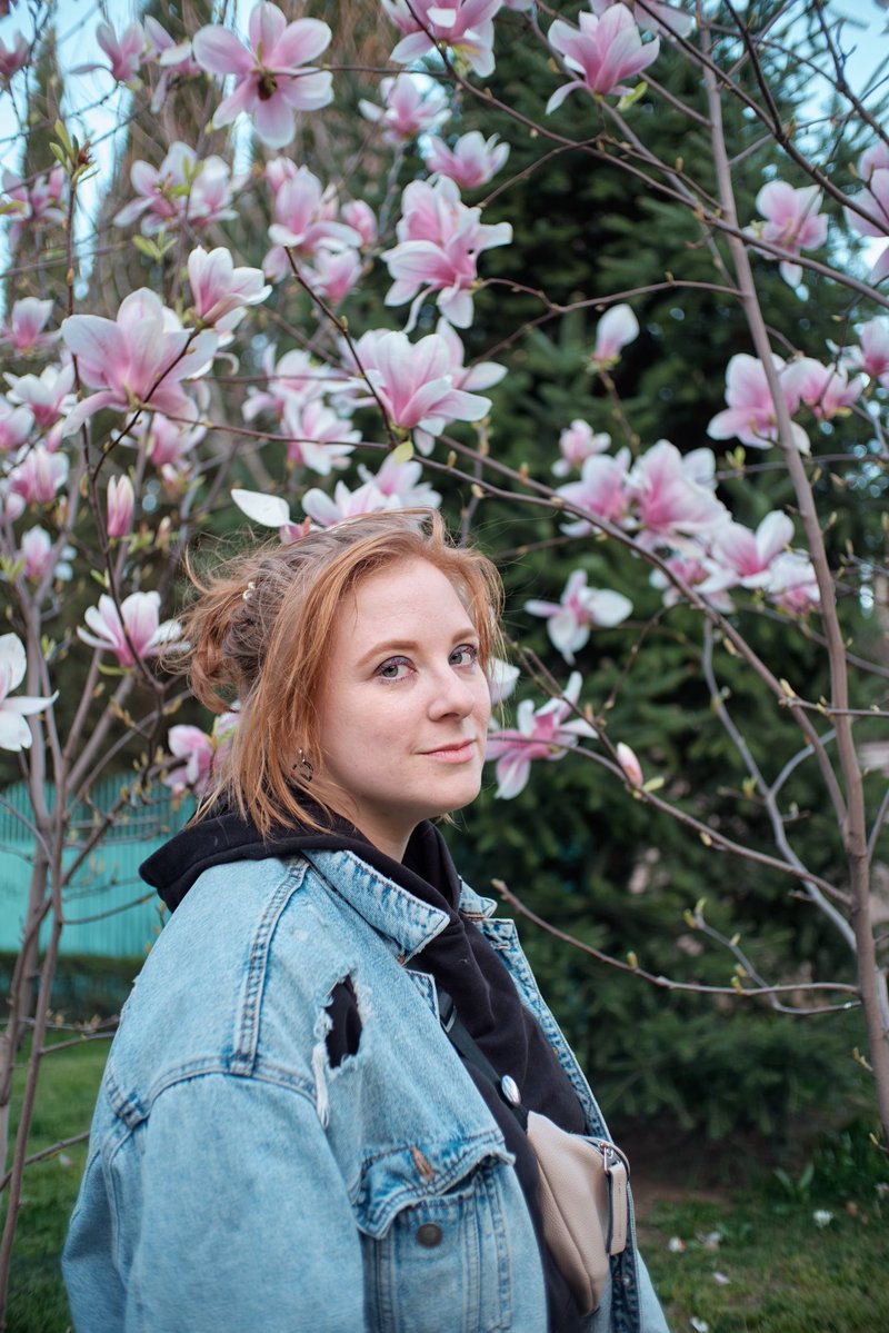 коренастая птичка tweet media