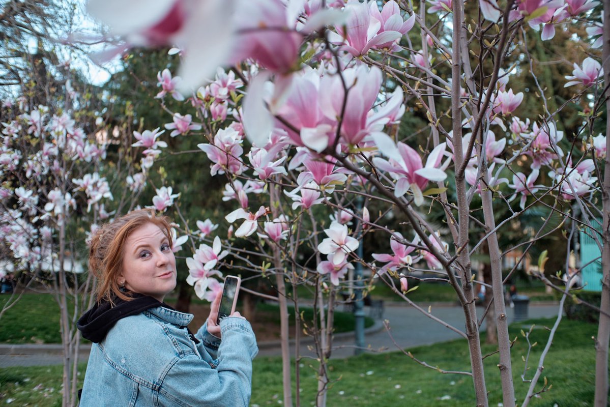 коренастая птичка tweet media