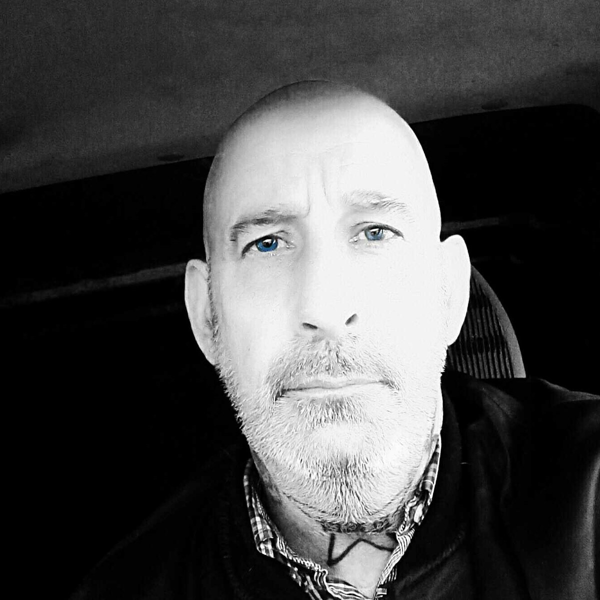 Rob titanic tweet media